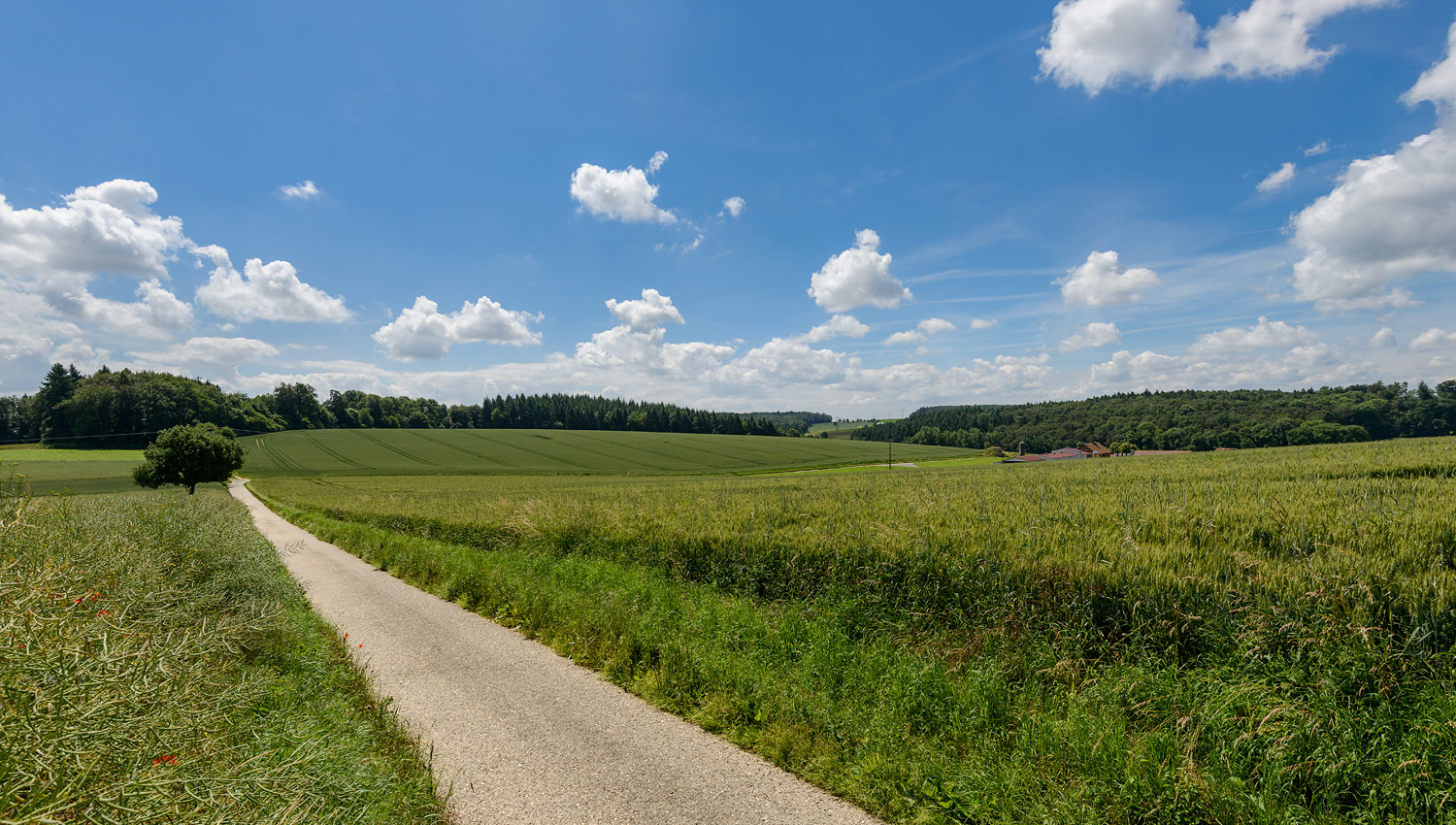 Funck Eier: Frische Eier vom Unterbiegelhof